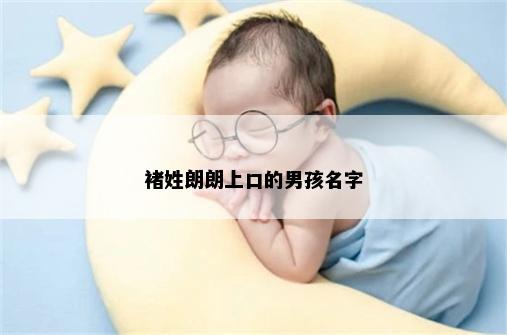 褚姓朗朗上口的男孩名字