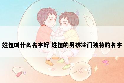 姓伍叫什么名字好 姓伍的男孩冷门独特的名字