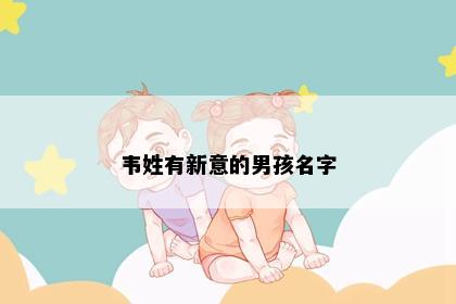 韦姓有新意的男孩名字
