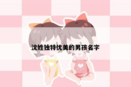 沈姓独特优美的男孩名字