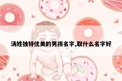 汤姓独特优美的男孩名字,取什么名字好